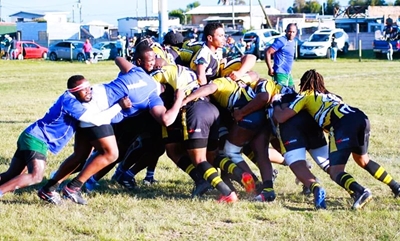 Phoenix draw with Tigers