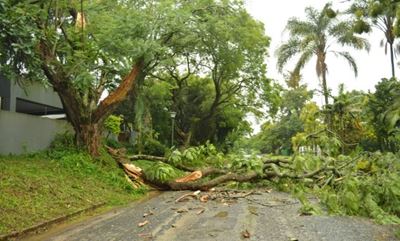 Family evacuated, another house collapses as Eloise continues to batter KZN