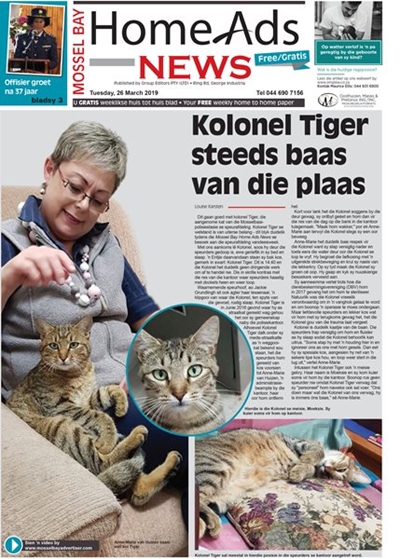 This week's Mossel Bay Home Ads News