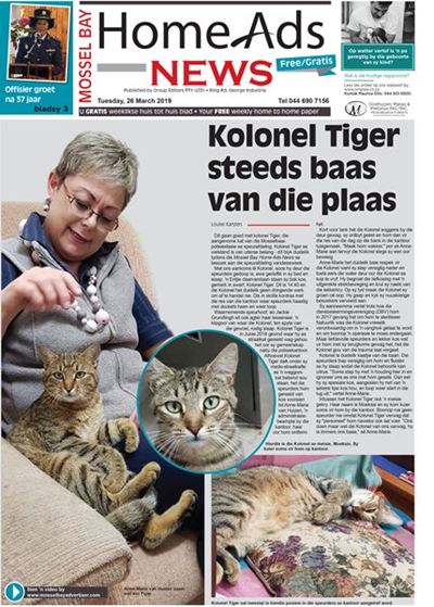 This week's Mossel Bay Home Ads News