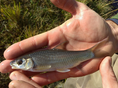 World Rivers Day and the Ford Wildlife Foundation's Contribution to Conservation 
