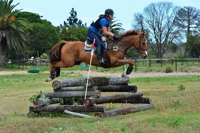 No horsing around for this winner