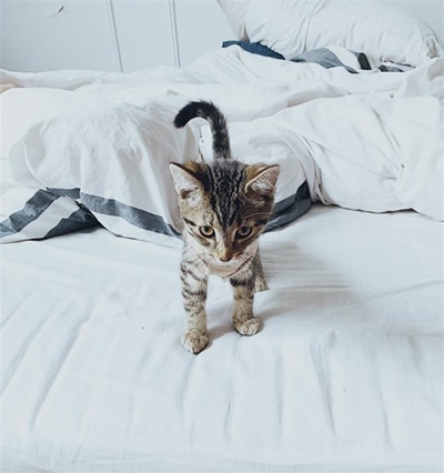 People who make their beds and people who don’t