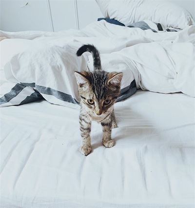 People who make their beds and people who don’t