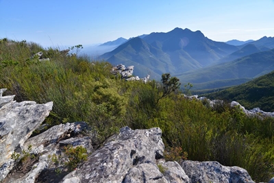  Botlierskop Private Game Reserve: A Garden Route Favorite