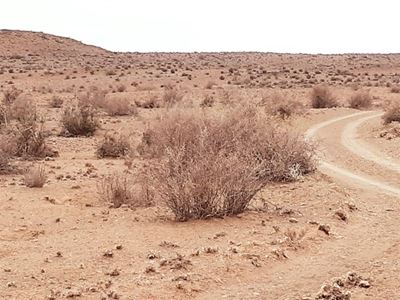 Bederfboksies, bakkies nodig vir Klein-Karoo-boere