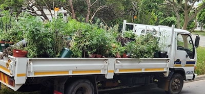Truckload of dagga confiscated in Wilderness