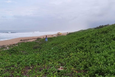 Shark attack: Mutilated body with multiple bites washes up on Durban beach