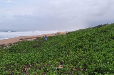 Shark attack: Mutilated body with multiple bites washes up on Durban beach