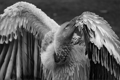 Outstanding photos of September