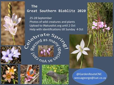 Join Bioblitz this weekend