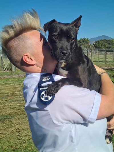 Case opened after dog fight