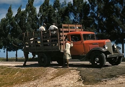 Farm owners urged to ensure safe transport for workers