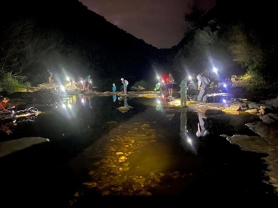 Wolwedans night walk draws 37 nature lovers