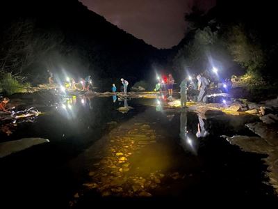 Wolwedans night walk draws 37 nature lovers