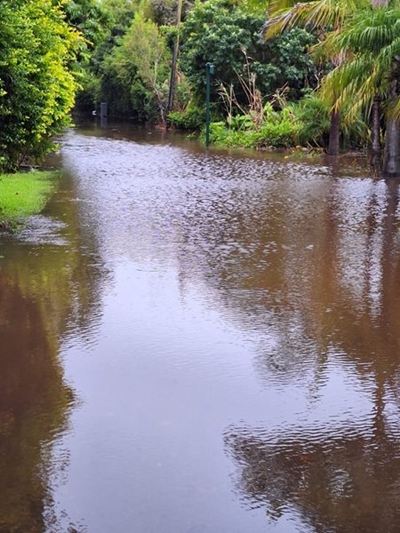 Update: Garden Route Dam level