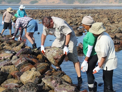 Visvywers in Stilbaai word herstel
