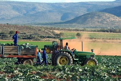 Rights of farmworkers highlighted in Jansenville