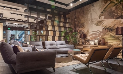 Container plants in vogue as people spend more time at home