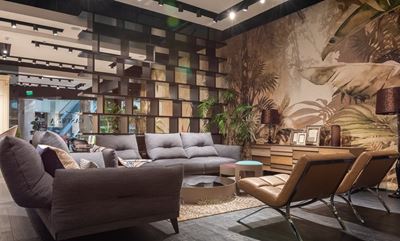 Container plants in vogue as people spend more time at home