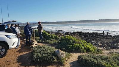 Stilbaai galjoen-derby lewer pragvisse op