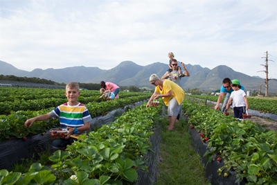 Eat and be merry at Redberry Farm