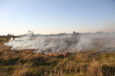 Brand naby Pacaltsdorp
