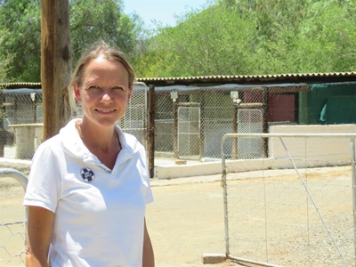 SPCA welcomes responsible celebrations