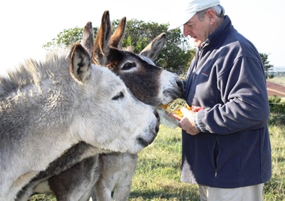 "My hart lê op die plaas"