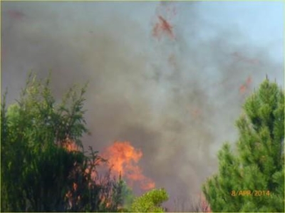 Controlled burning at Candlewood