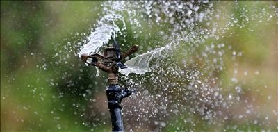 Why irrigate our gardens?