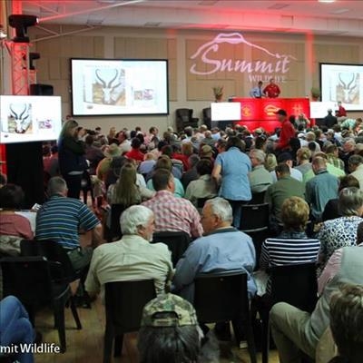Inaugural game auction makes its mark