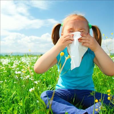 Pollen might not be the biggest culprit behind SA's allergy woes