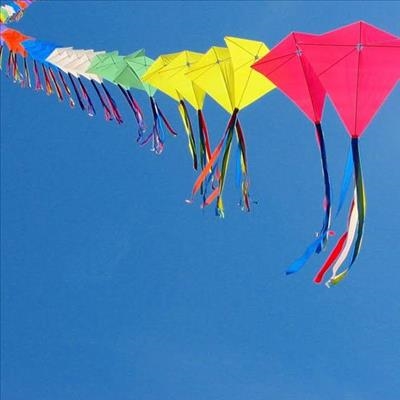 Kite festival promises spectacular displays 