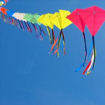 Kite festival promises spectacular displays 