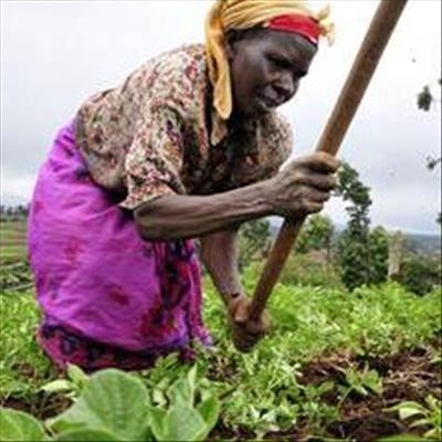 Female farmers suffer most in SA drought
