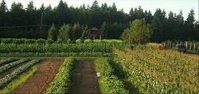 There’s more to crop rotation than meets the eye