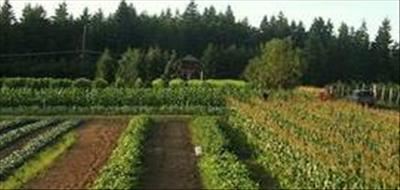 There’s more to crop rotation than meets the eye