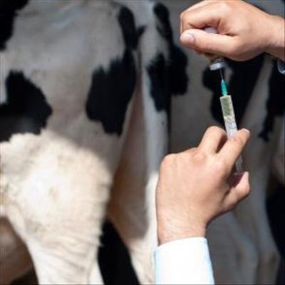 Eesearch needed to mitigate farm-driven antimicrobial resistance 