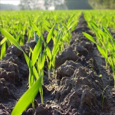 Lessening financial burden of farmers essential 