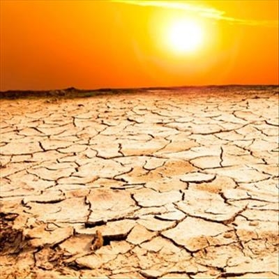 Cautious optimism despite drought, political uncertainty