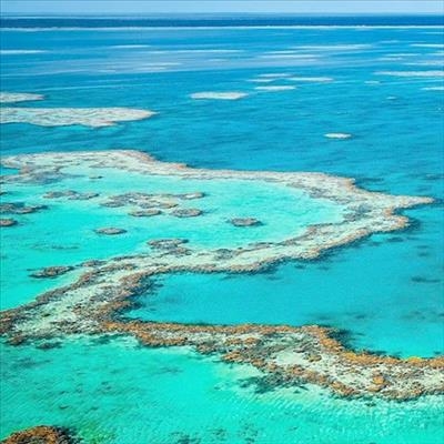 Great Barrier Reef suffers worst ever coral bleaching