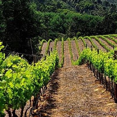 Wine farm wage deal 