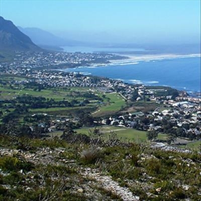 Search for missing Hermanus man continues