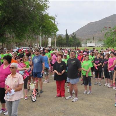 Hundreds walk for cancer awareness