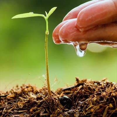 Soil quality requires a complex approach