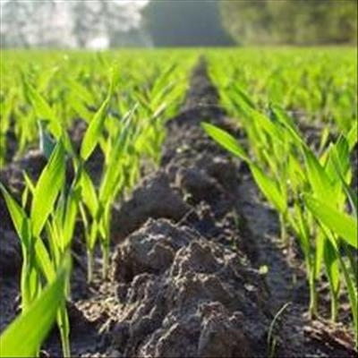 Battling climate change with holistic solutions 