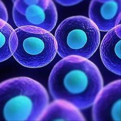 Stem cells 101