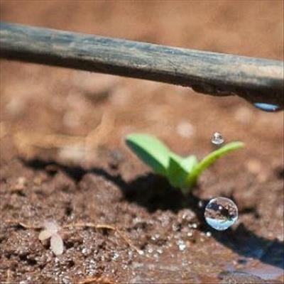 Empowerment project aims to uplift agricultural sector 