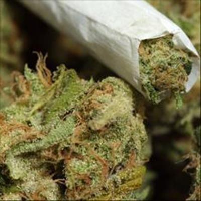 Cop who led double life as cannabis farmer jailed